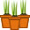 Icon Potted Bulb